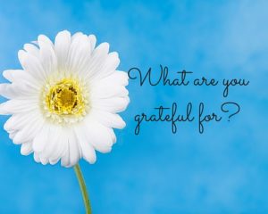 What are you grateful for_