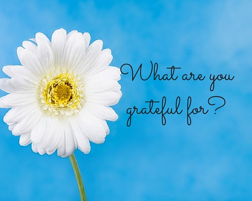 Practicing Gratitude All Year Long